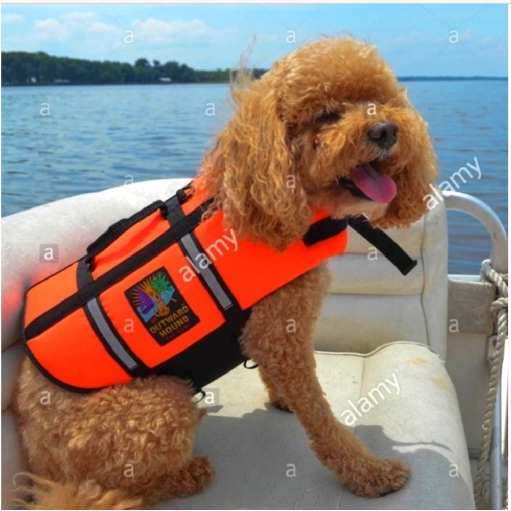 Outward Hound Dog Life Jacket Vest Swimming Boat Sz S 12-15”